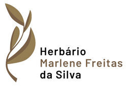 Logo MFS